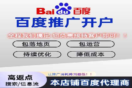 SEM代运营服务公司案例分析：数据驱动营销策略